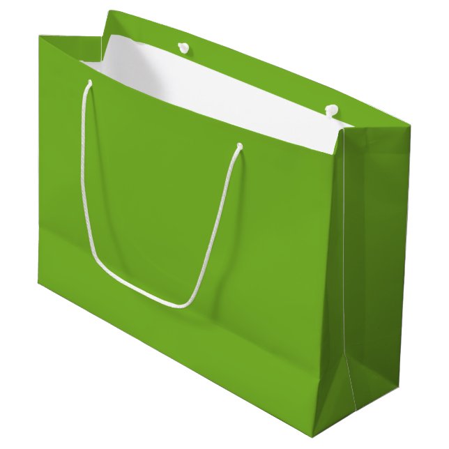 Bolsa De Regalo Grande Verde (Angulo Anverso)