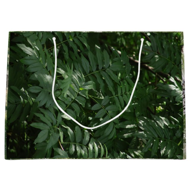 Bolsa De Regalo Grande Verde En Piedra Amarilla (Anverso)