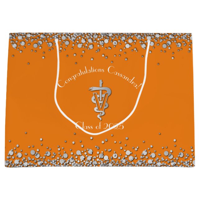 Bolsa De Regalo Grande Veterinarian Graduation Orange Silver (Anverso)