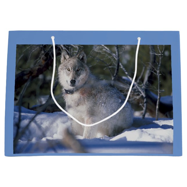 Bolsa De Regalo Grande Winter Wolf (Anverso)