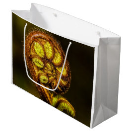 Bolsa De Regalo Grande Young Fern Leaves