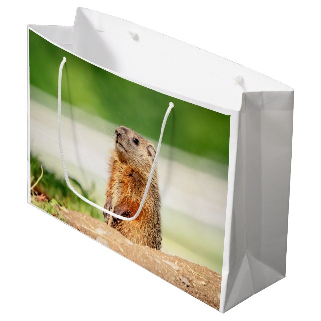 Bolsa De Regalo Grande Young Groundhog (Angulo Anverso)