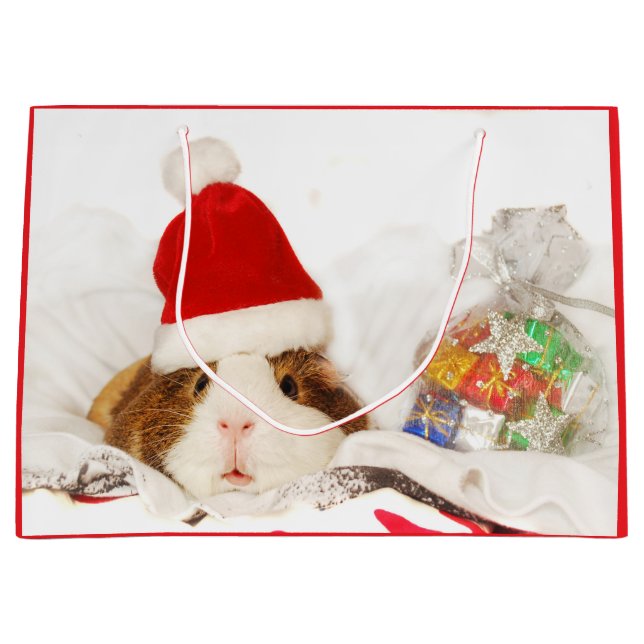 Bolsa de regalo GUINEA CERDO EN UN SOMBRERO SANTA (Anverso)