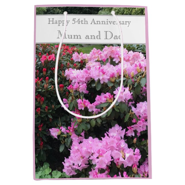 Bolsa De Regalo Mediana 54.º Aniversario Boda (Anverso)