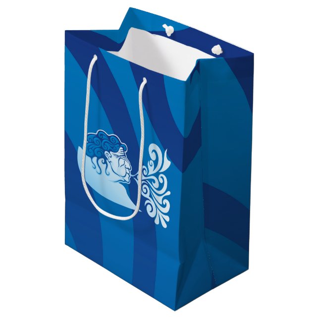Bolsa De Regalo Mediana Aeolus (Angulo Anverso)