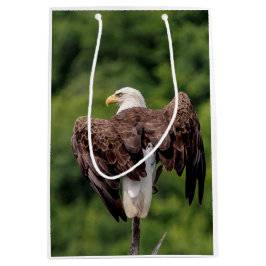 Bolsa De Regalo Mediana Águila calva en una rama