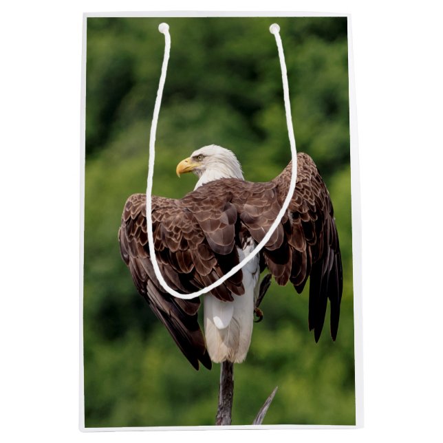 Bolsa De Regalo Mediana Águila calva en una rama (Anverso)
