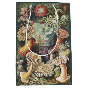 Bolsa De Regalo Mediana Anémonas de Mar de Haeckel Arte Náutico de Vida Ma