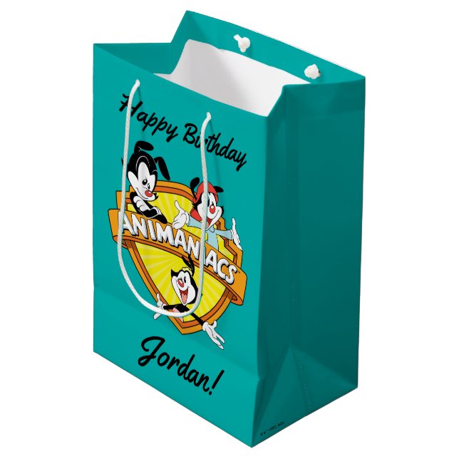 Bolsa De Regalo Mediana Animaniacs | Warner Brothers & Sister WB Shield (Angulo Anverso)