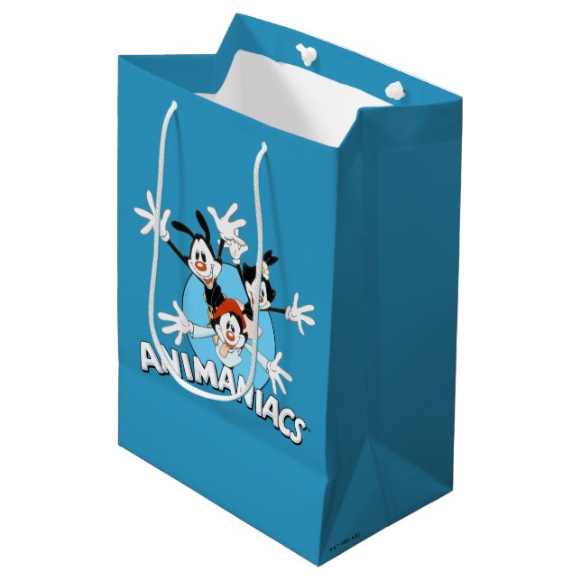 Bolsa De Regalo Mediana Animaniacs | Warner Siblings Arms Wide Graphic (Angulo Anverso)