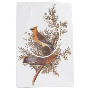 Bolsa De Regalo Mediana Audubon Cedar Waxwing Songbirds en Juniper