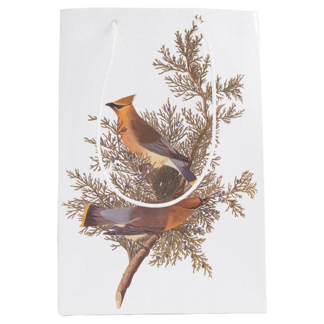 Bolsa De Regalo Mediana Audubon Cedar Waxwing Songbirds en Juniper (Anverso)