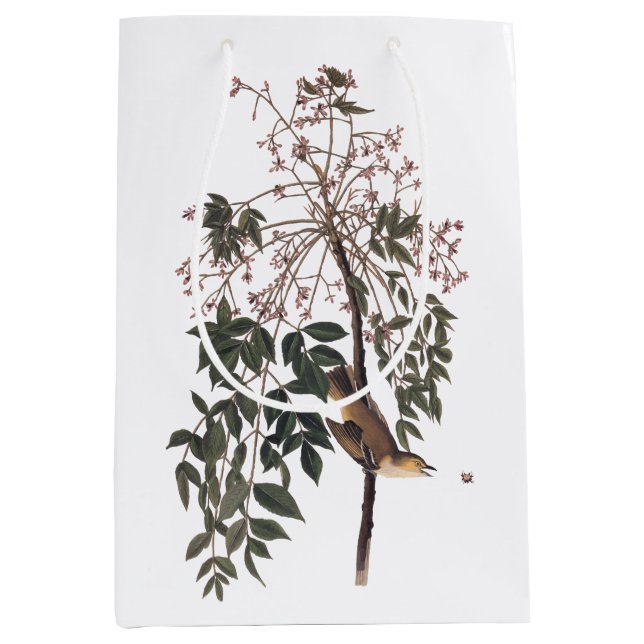 Bolsa De Regalo Mediana Audubon White Eyed Vireo (Anverso)