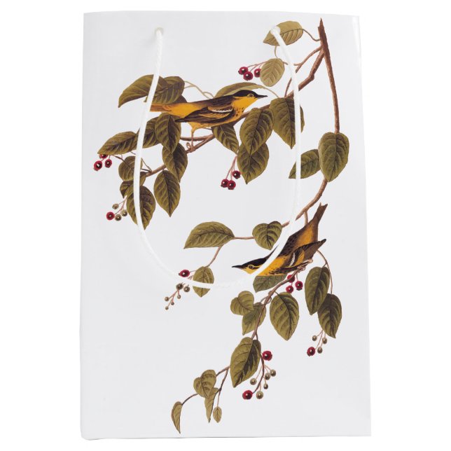 Bolsa De Regalo Mediana Ave Audubon de la Warbler Carbonada (Anverso)