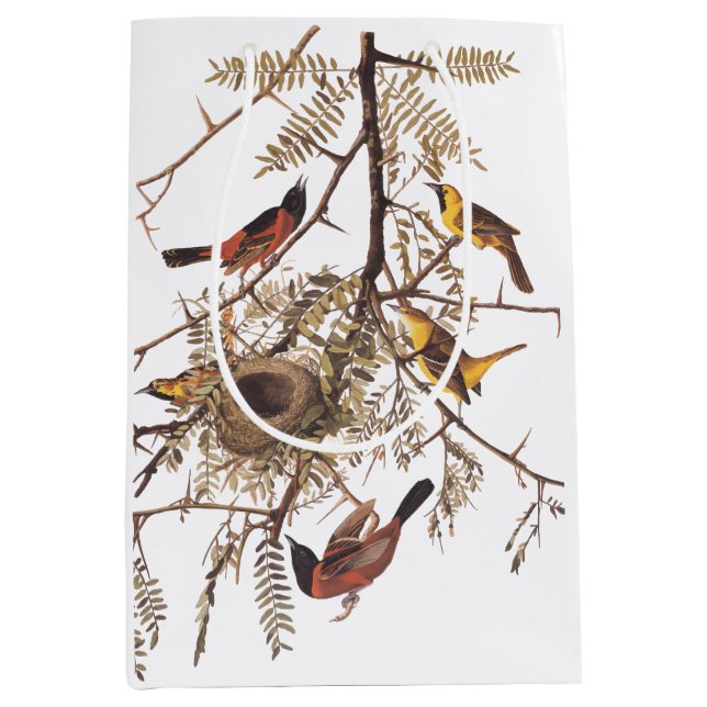 Bolsa De Regalo Mediana Aves Oriólicas de Orchard con Audubon de nido (Anverso)