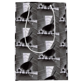 Bolsa De Regalo Mediana Avión 2