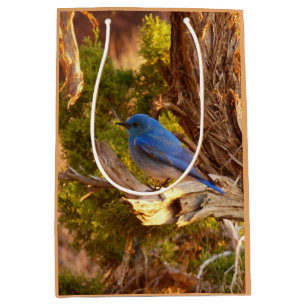 Bolsa De Regalo Mediana Azulejo Montañés en el Parque Nacional Arches