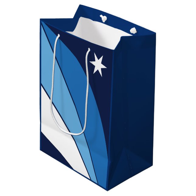 Bolsa De Regalo Mediana Bandera de Columbia, Carolina del Sur (Angulo Anverso)