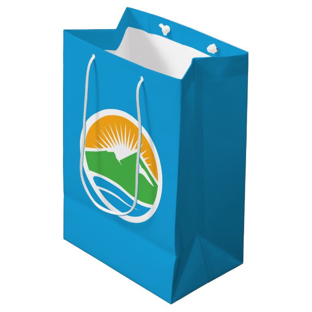 Bolsa De Regalo Mediana Bandera de Provo, Utah (Angulo Anverso)