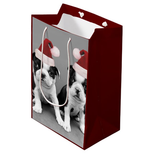 Bolsa De Regalo Mediana Bolso medio del regalo de los terrieres de Boston (Angulo Anverso)