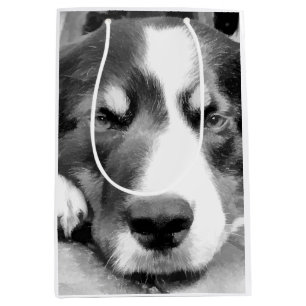 BOLSA DE REGALO MEDIANA BORDER COLLIE