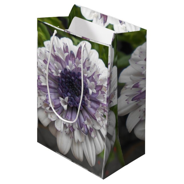 Bolsa De Regalo Mediana Brett (Angulo Anverso)