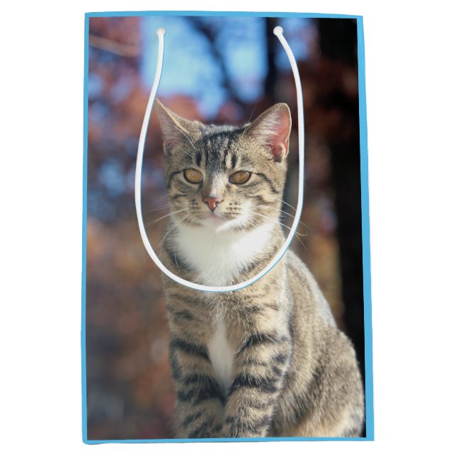 Bolsa De Regalo Mediana Brin (Anverso)