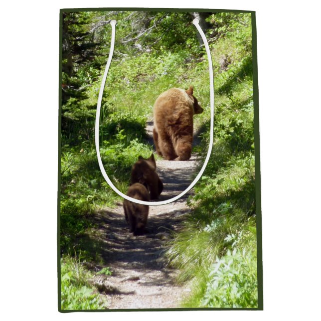 Bolsa De Regalo Mediana Brown Bear Family (Anverso)