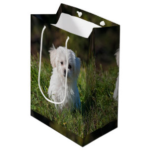 Bolsa De Regalo Mediana Cachorro blanco lindo