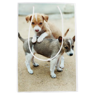 Bolsa De Regalo Mediana Cachorros Adorables Jugando en la Playa