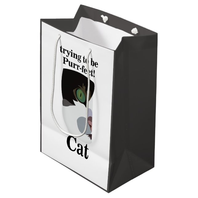Bolsa De Regalo Mediana Cat Kitty Pet Funny (Angulo Anverso)
