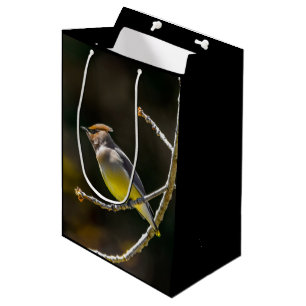 Bolsa De Regalo Mediana Cedar Waxwing Songbird Foto original de ave silves