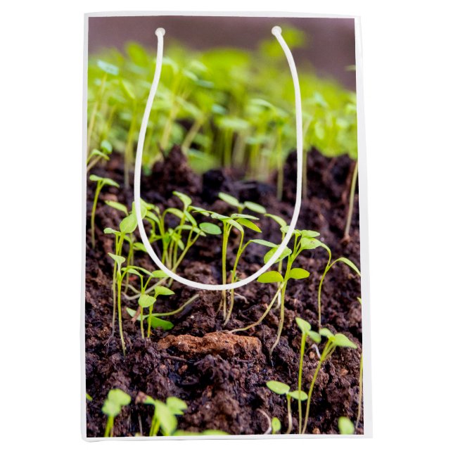 Bolsa De Regalo Mediana Césped que brota (Anverso)