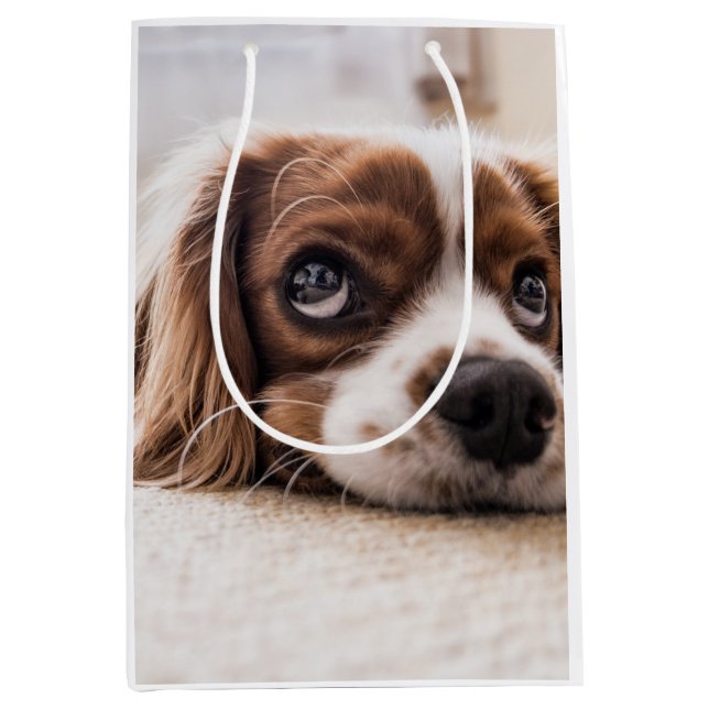 Bolsa De Regalo Mediana Cocker Spaniel Dog de ojos tristes (Anverso)