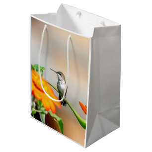 Bolsa De Regalo Mediana Colibrí en una planta floreciente
