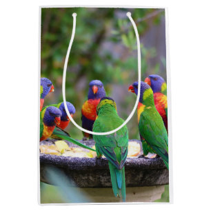 Bolsa De Regalo Mediana Coloridos loros arcoiris comiendo