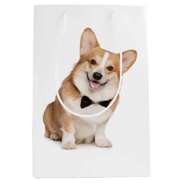 Bolsa De Regalo Mediana Corgi (Anverso)
