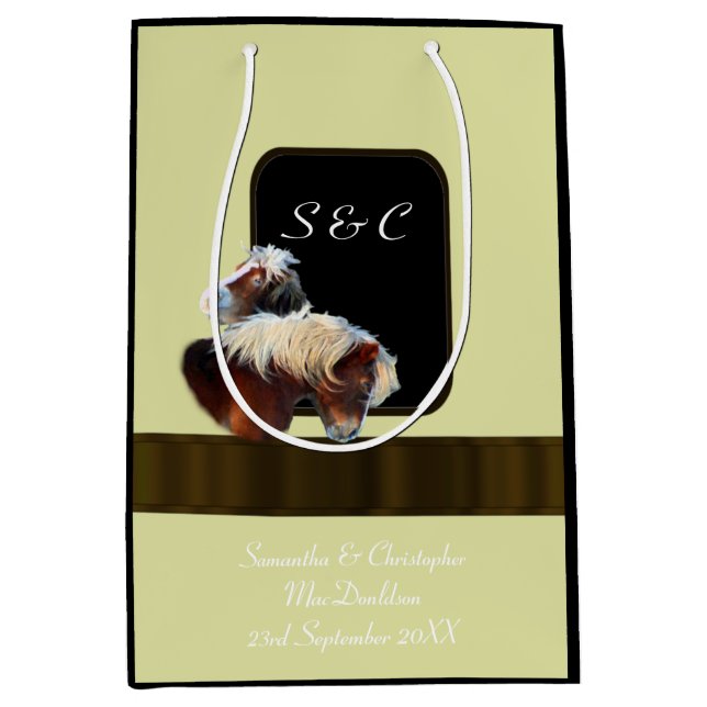 Bolsa De Regalo Mediana Cuidados ecuestres de caballo y pony (Anverso)