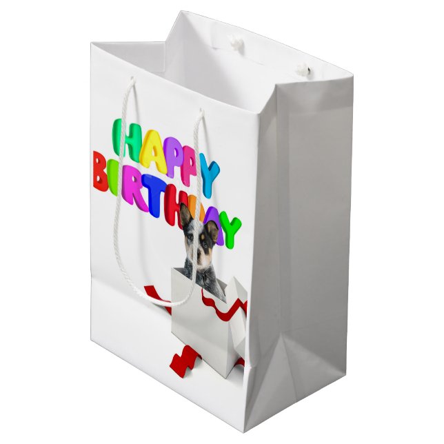 Bolsa De Regalo Mediana Cumpleaños (Angulo Anverso)