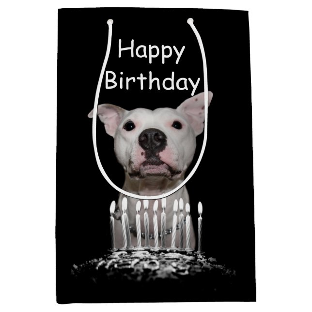 Bolsa De Regalo Mediana Cumpleaños blanco de Pitbull (Anverso)