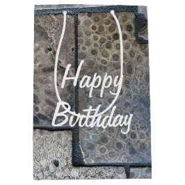 Bolsa De Regalo Mediana Cumpleaños de Michigan Petoskey Stone