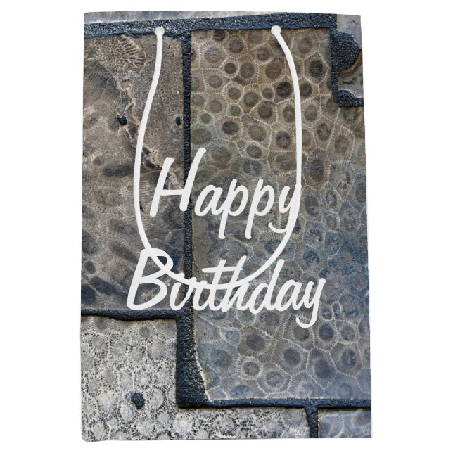 Bolsa De Regalo Mediana Cumpleaños de Michigan Petoskey Stone (Anverso)