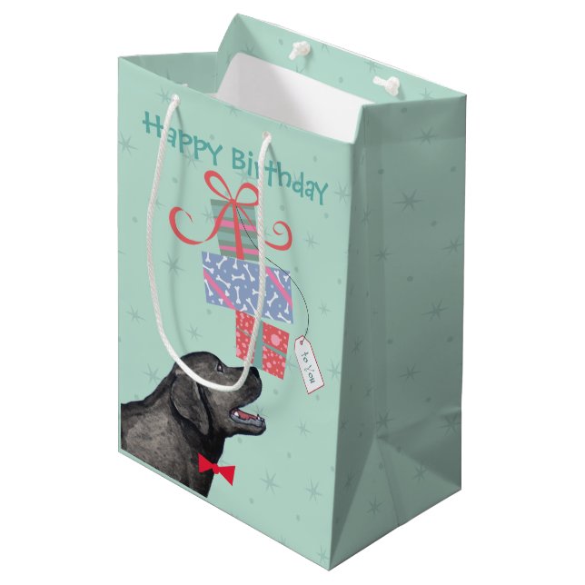 Bolsa De Regalo Mediana Cumpleaños presenta Laboratorio Negro (Angulo Anverso)
