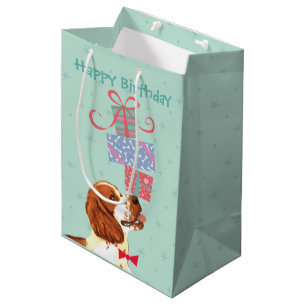 Bolsa De Regalo Mediana Cumpleaños presenta Springer española galesa