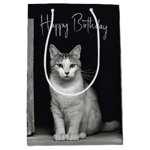 Bolsa De Regalo Mediana Cumpleaños Tabby Cat En Puerta