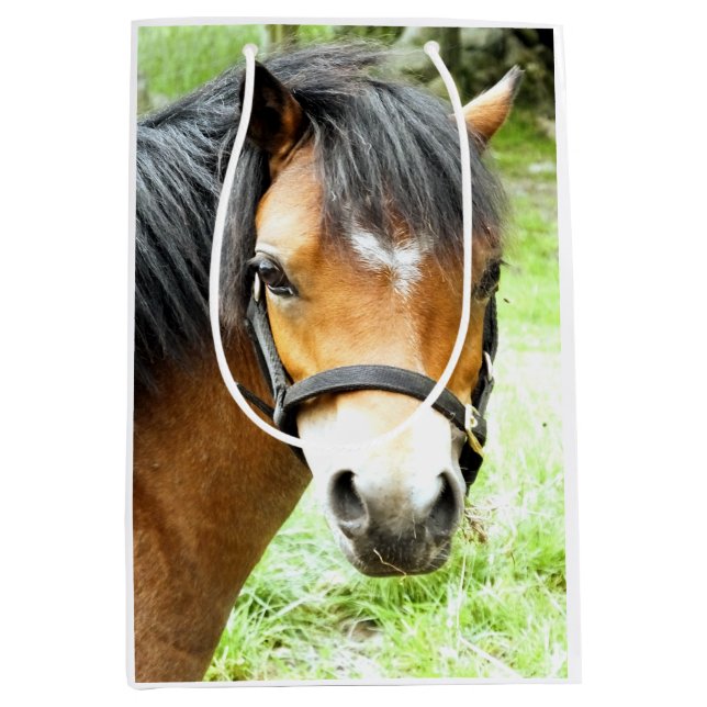 BOLSA DE REGALO MEDIANA CUTE BROWN PONY (Anverso)