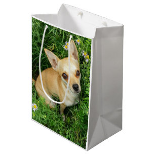 Bolsa De Regalo Mediana Cute Chihuahua en prado de hierba
