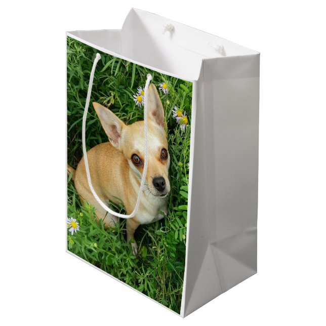 Bolsa De Regalo Mediana Cute Chihuahua in Grass Meadow (Angulo Anverso)