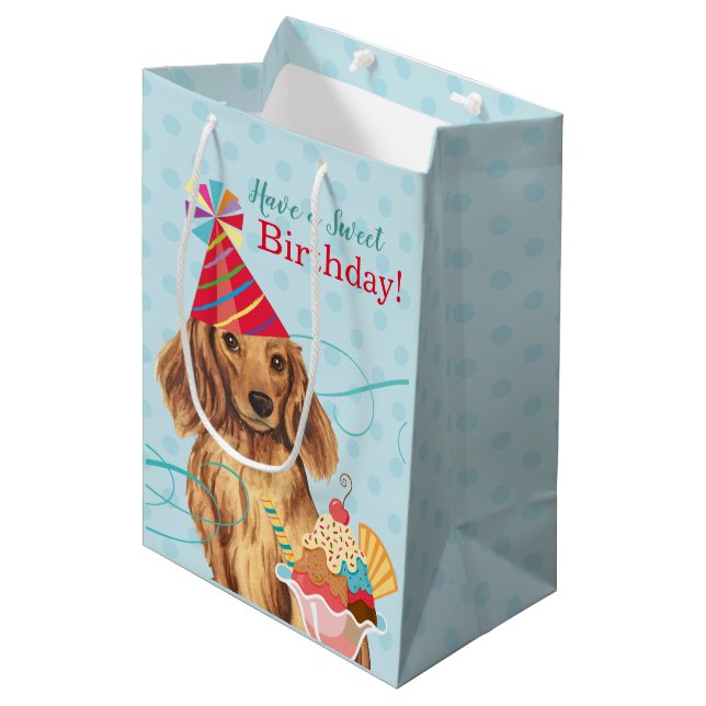 Bolsa De Regalo Mediana Dachshund de cabello largo (Angulo Anverso)