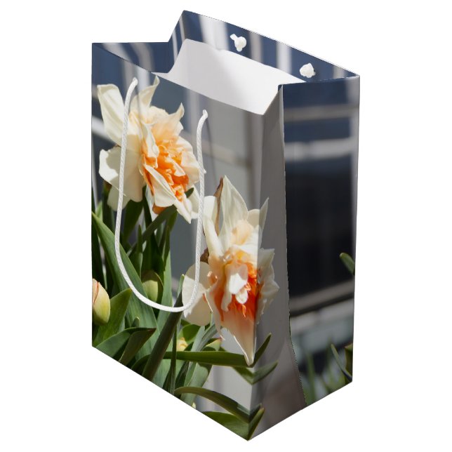 Bolsa De Regalo Mediana Delicada primavera de daffodils tiernos (Angulo Anverso)
